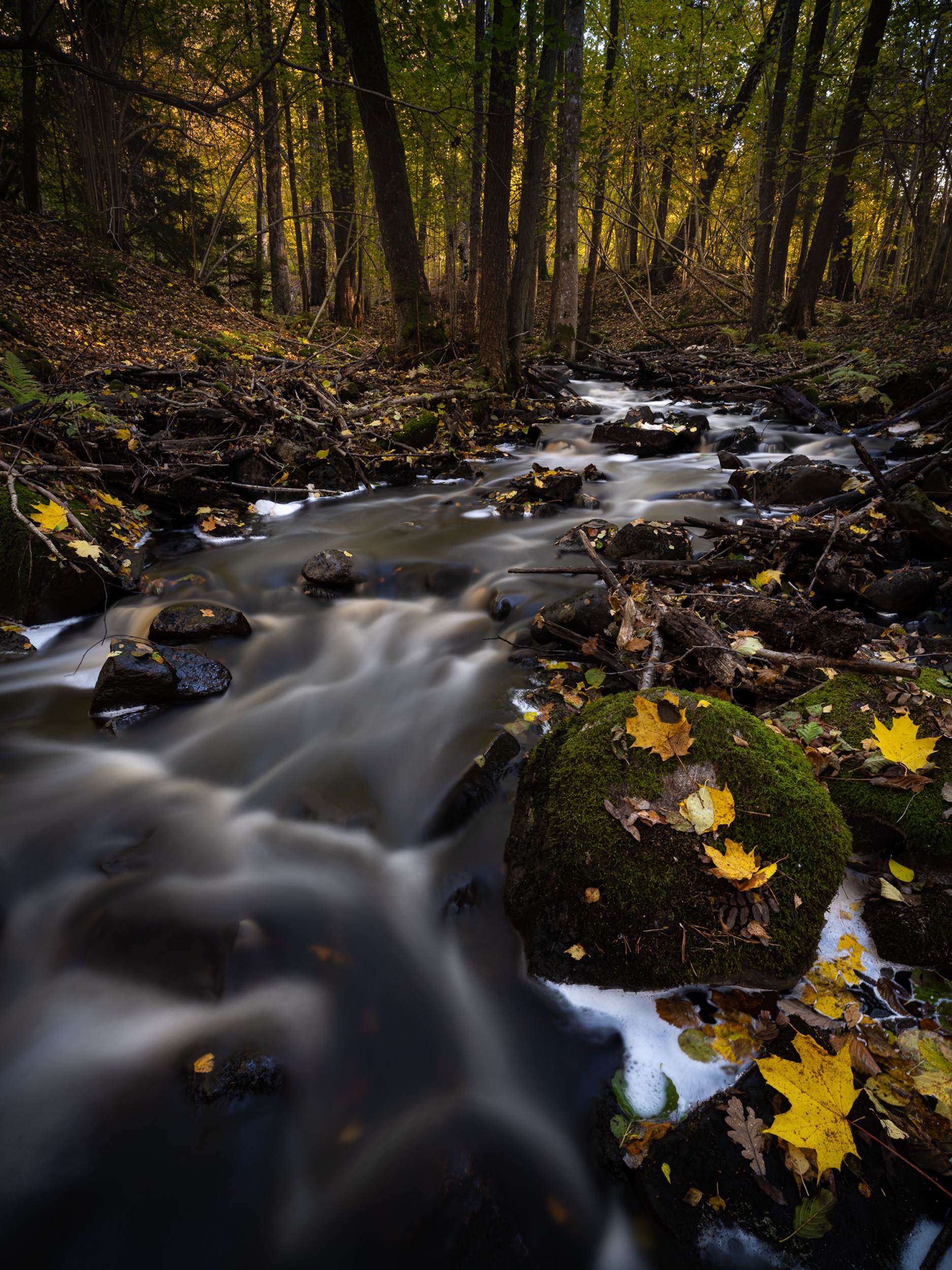 Stacks Image 156