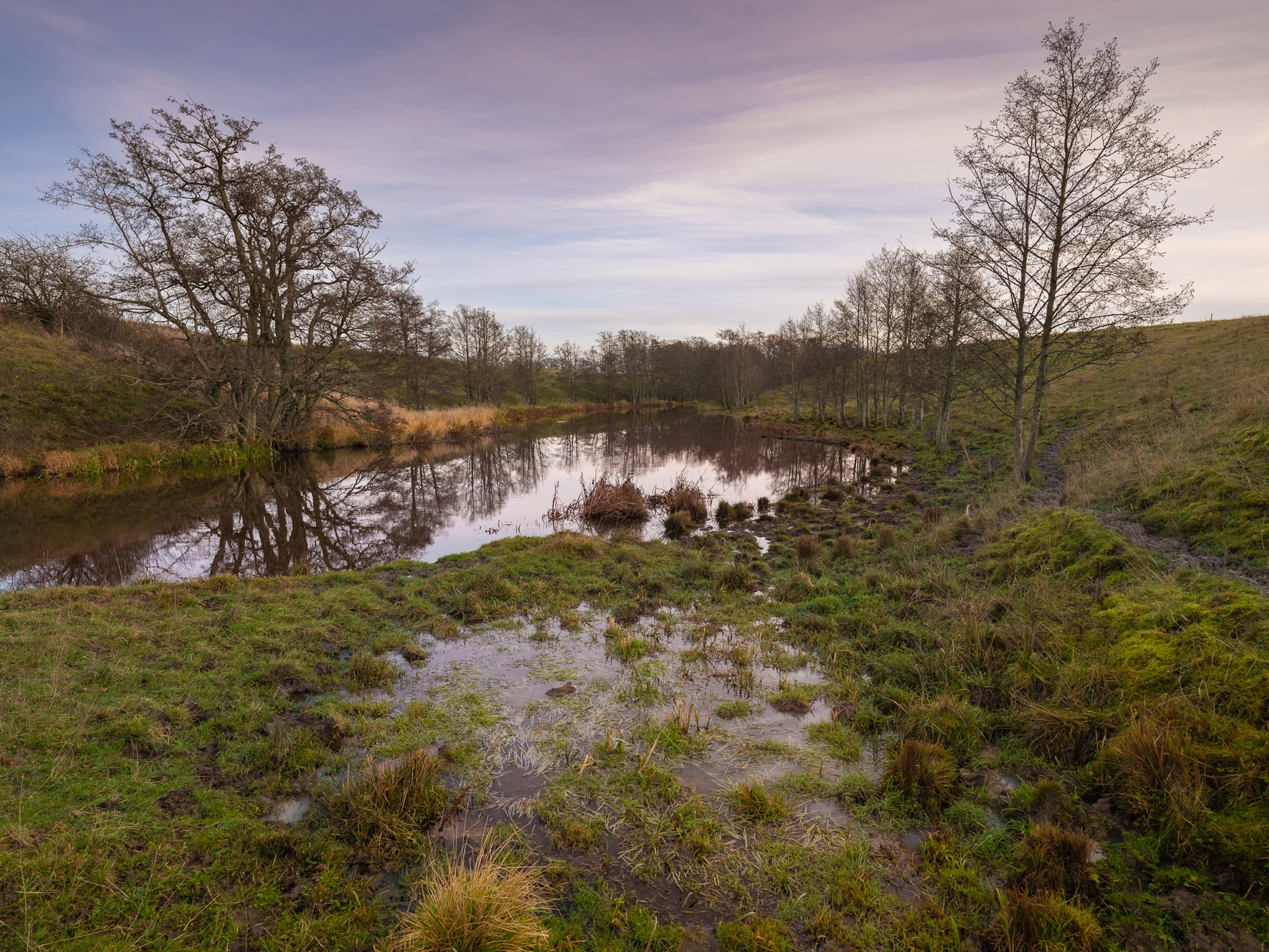 Stacks Image 164